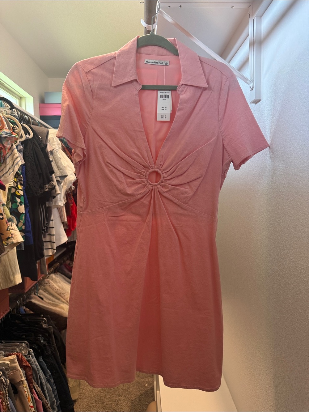 Abercrombie & Fitch Pink Ring-Front Mini Dress
